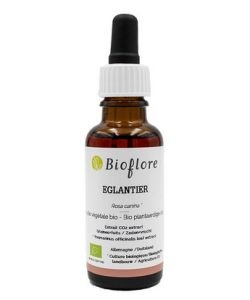 Huile d'Eglantier (extrait CO2) BIO, 30 ml